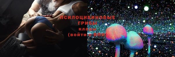 спиды Володарск