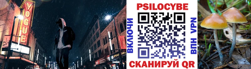 Галлюциногенные грибы мицелий  закладки  Людиново 